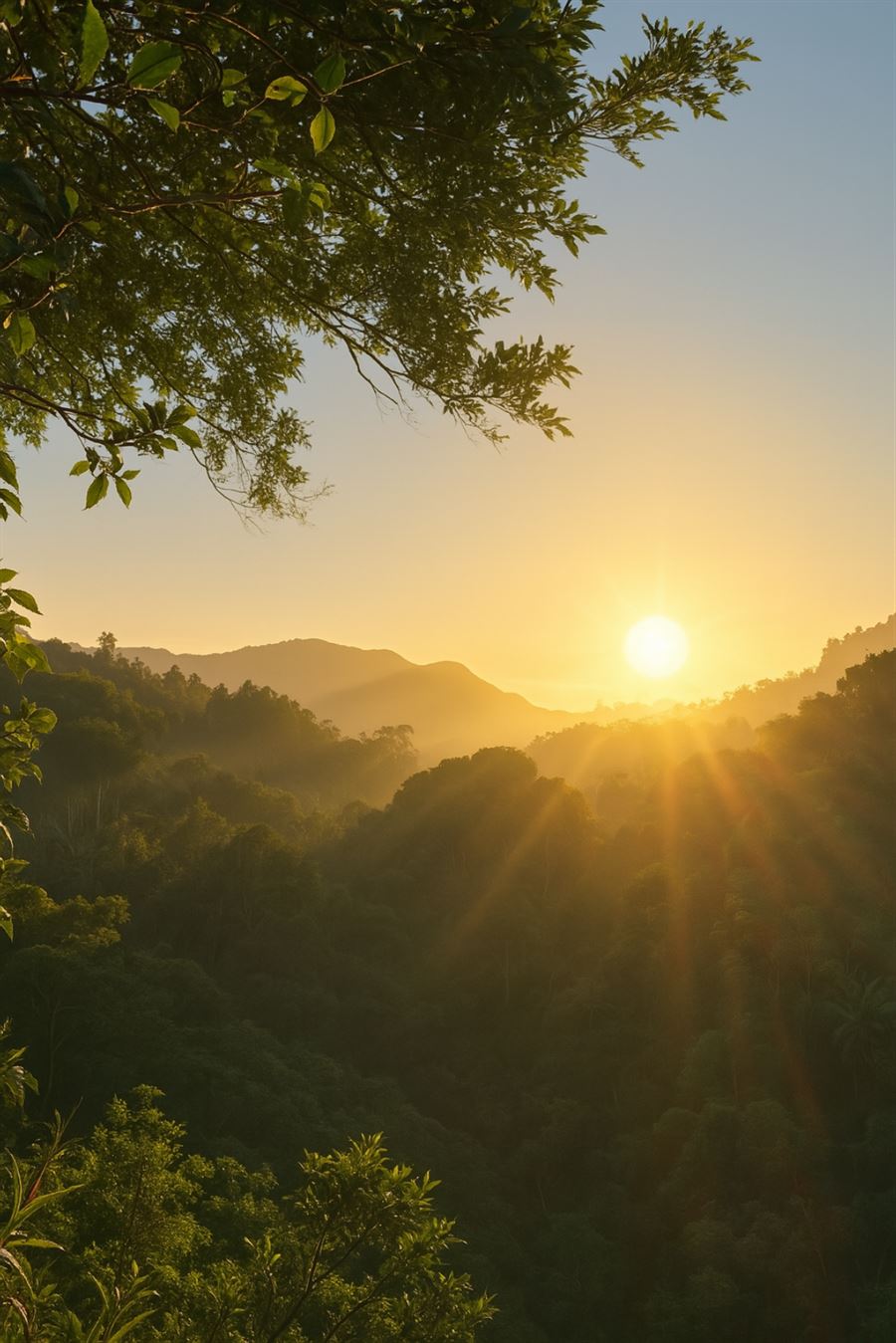 Sol em Grão · Amanhecer no Sítio Boa Vista